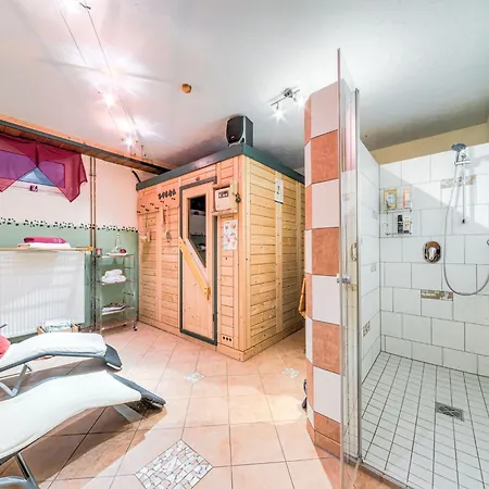 Cozy In Marktrodach With Sauna Apartment