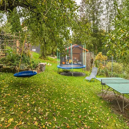 Cozy In Marktrodach With Sauna Apartment *